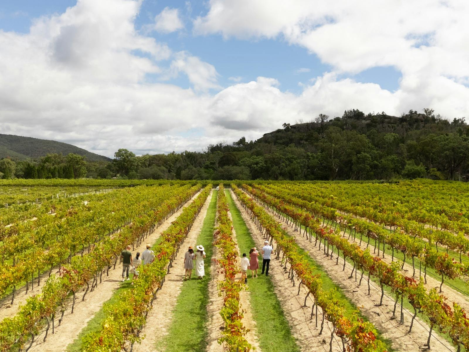 Touring at Balancing Heart Vineyard on the Granite Belt, South-East Queensland