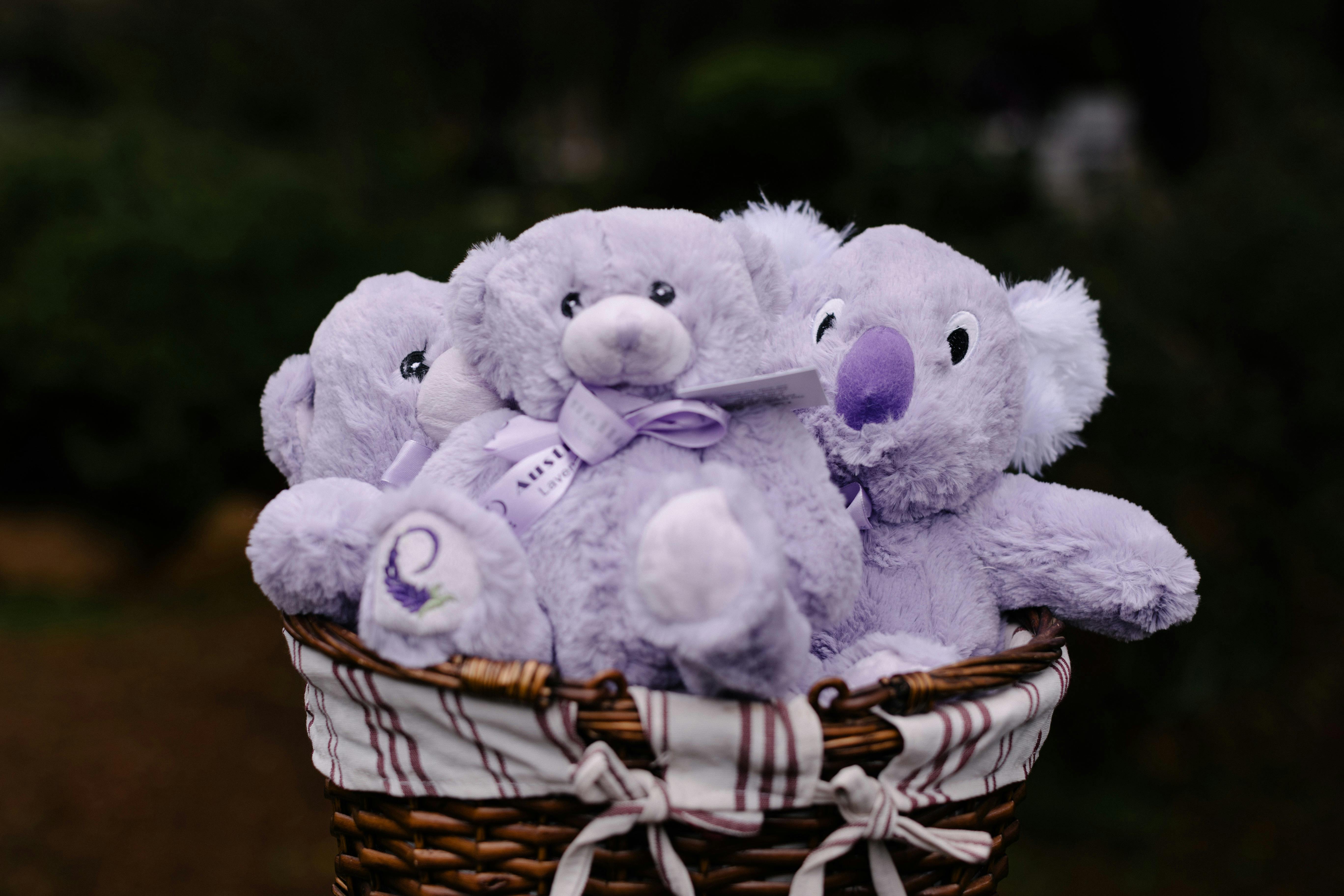 Nannup Lavender Farm Cafe and Campground