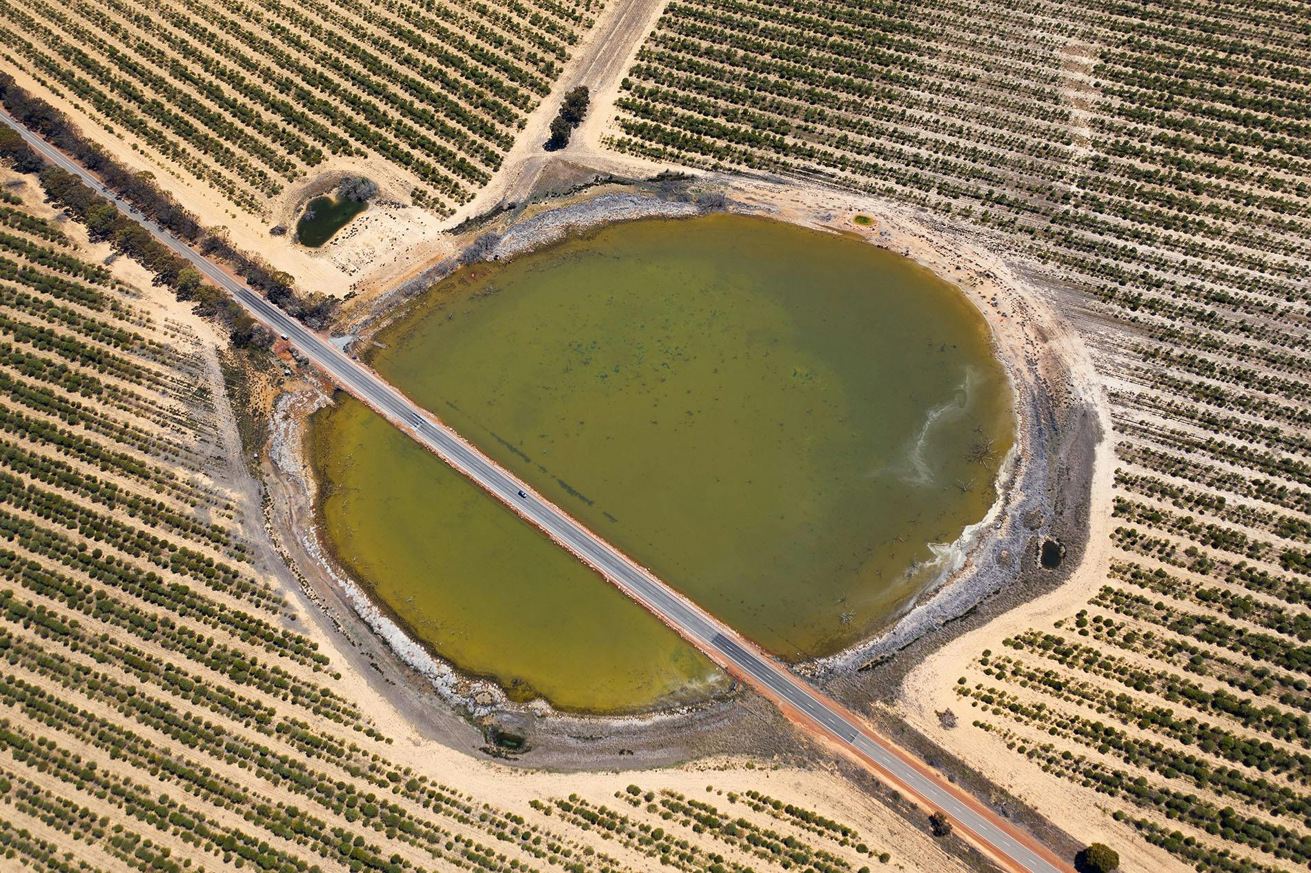 Aerial view of Quadrating Lake, Quairading