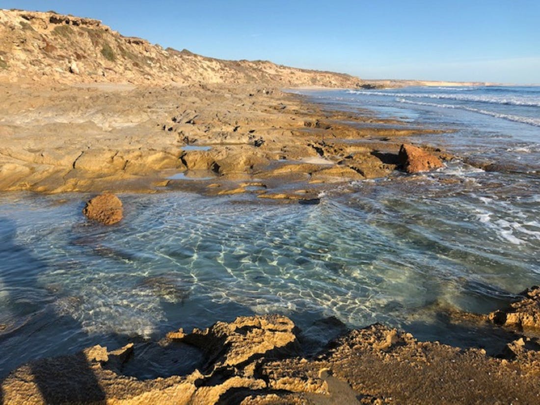 streaky bay boat tours