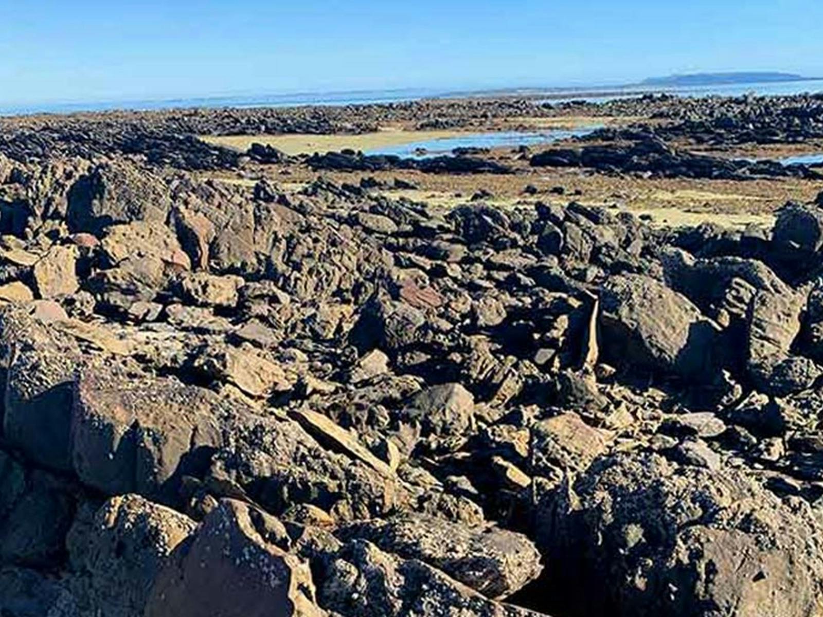 Long Point