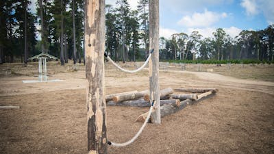 Elements of the children's nature playground