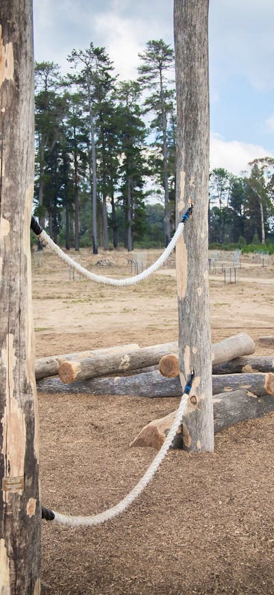 Elements of the children's nature playground