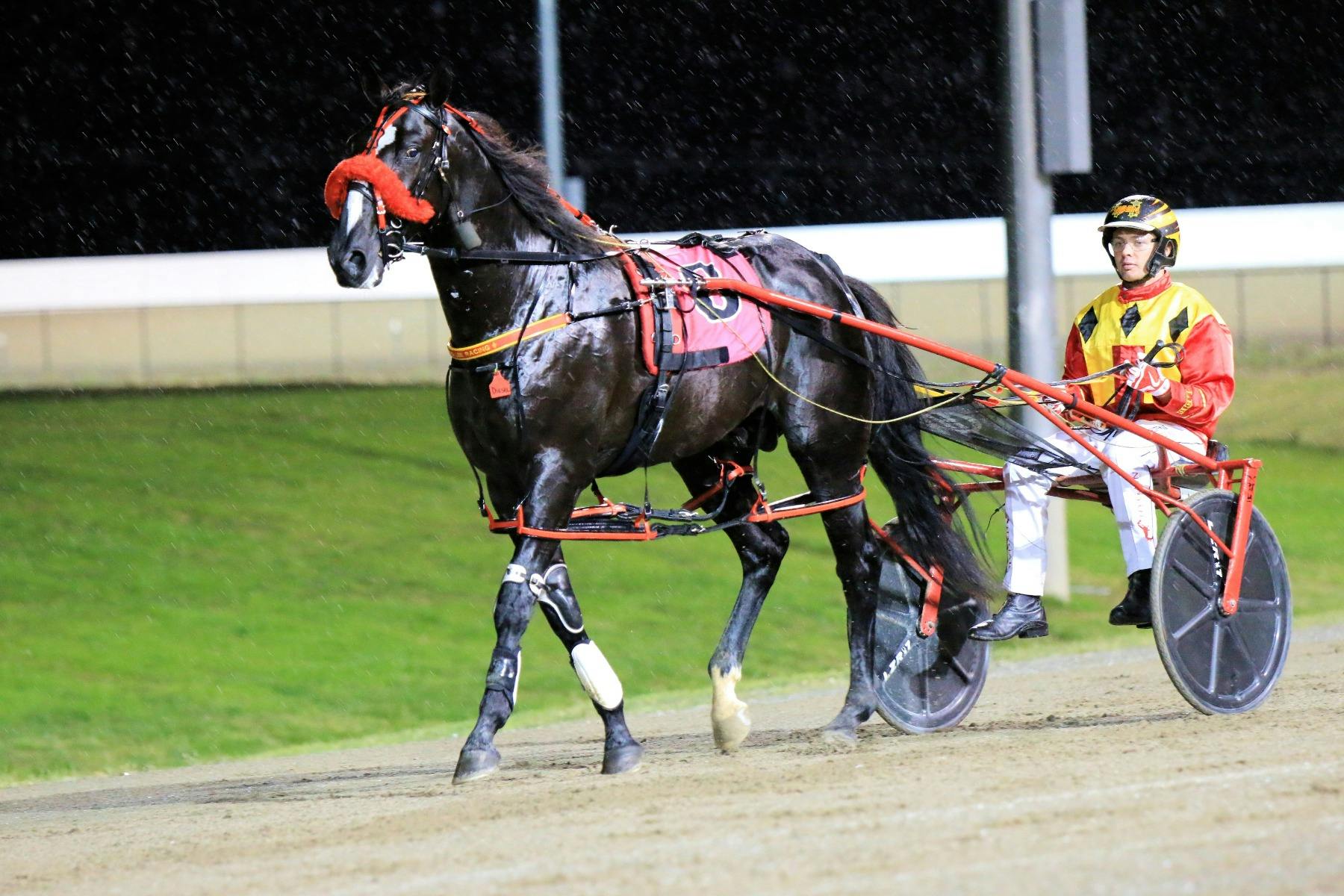 Black horse, white socks, sulky, jockey driver