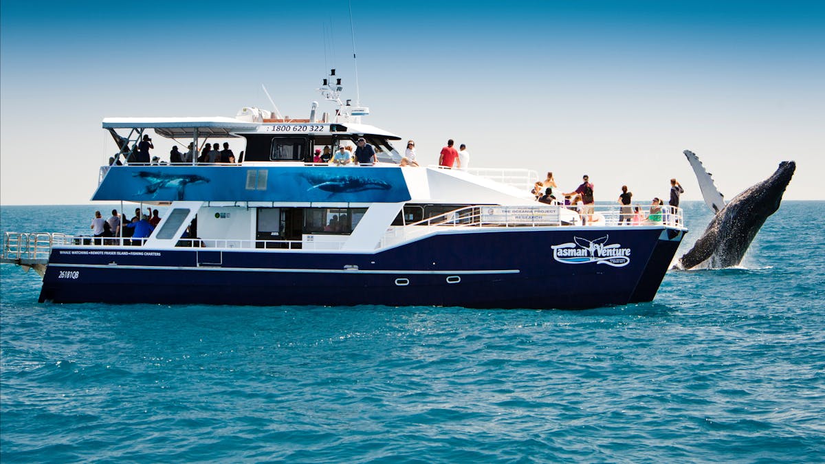 Tasman Venture
