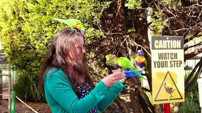 Feeding the birds at the Walkin Aviary