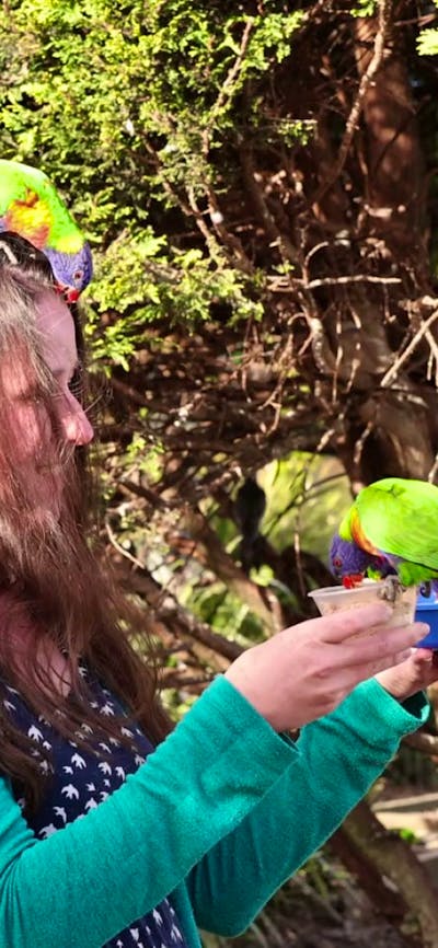 Feeding the birds at the Walkin Aviary