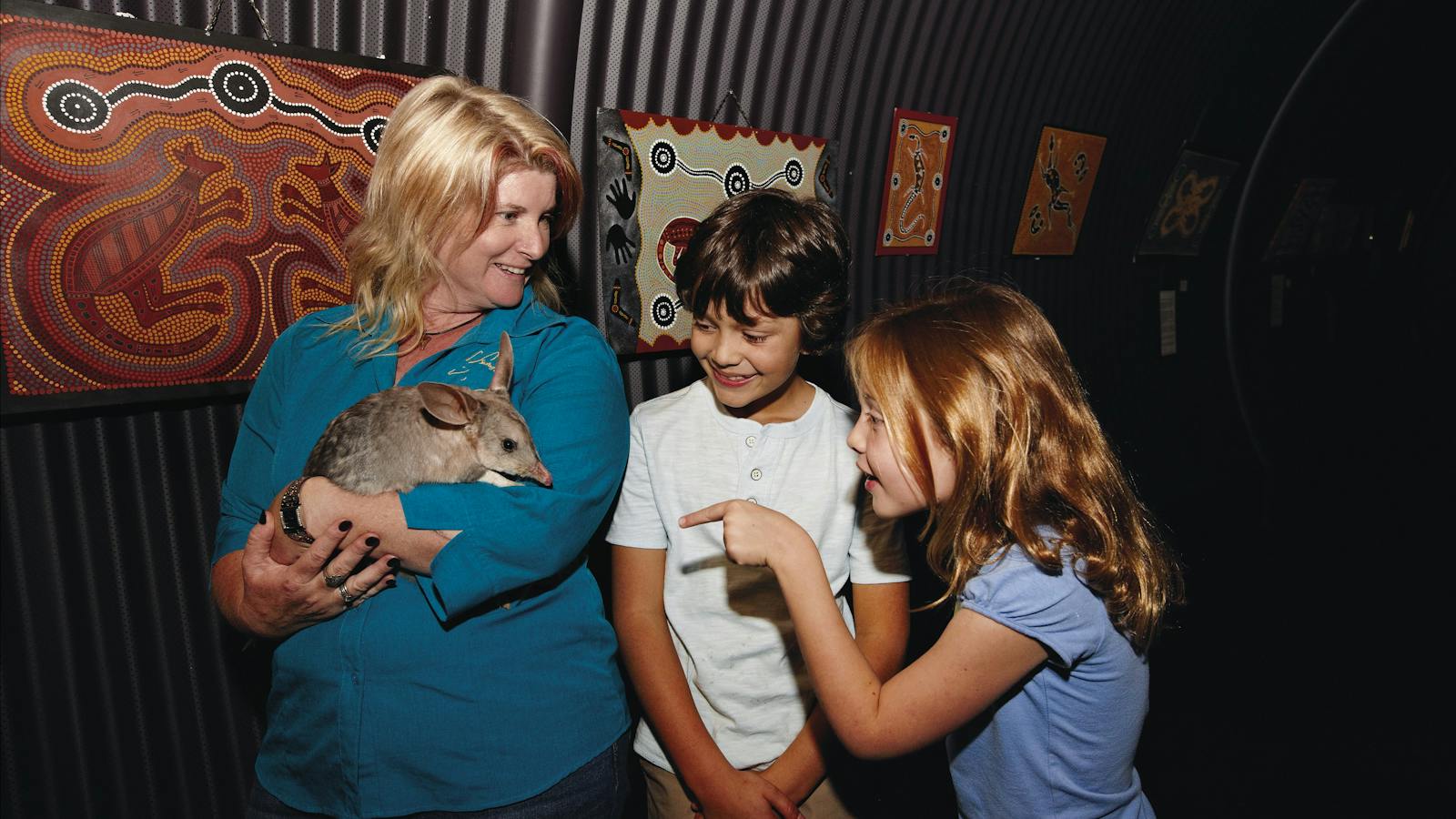 Come meet a friendly Bilby in Charleville