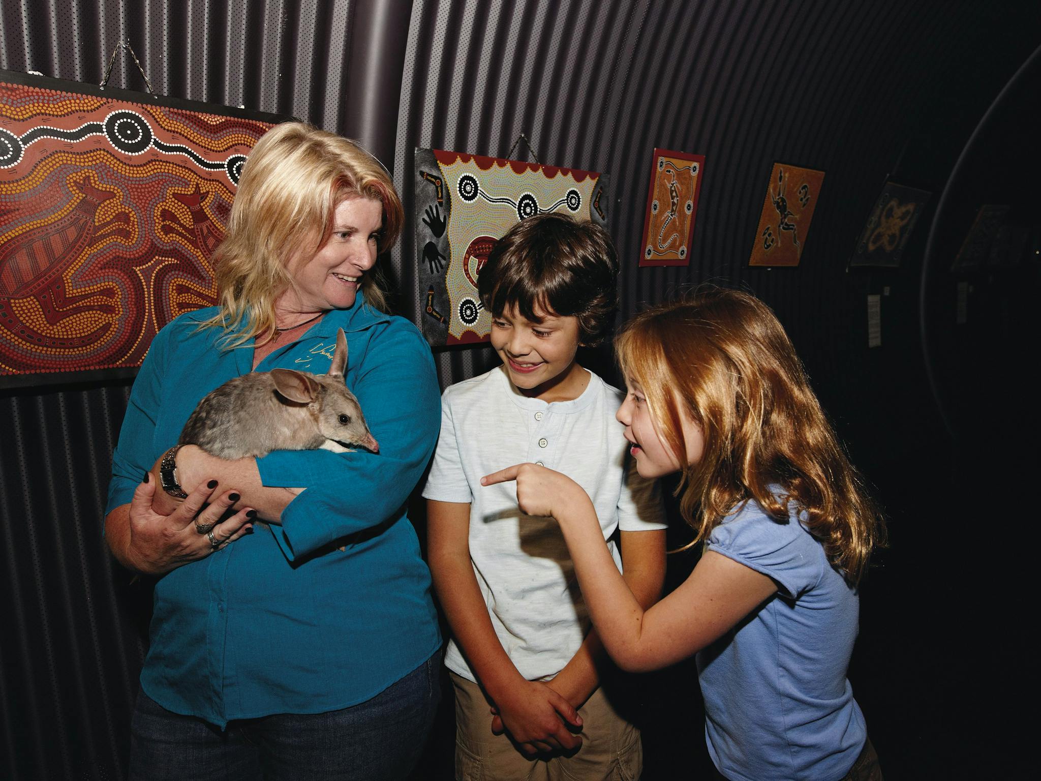 Come meet a friendly Bilby in Charleville Come meet a friendly Bilby in Charleville