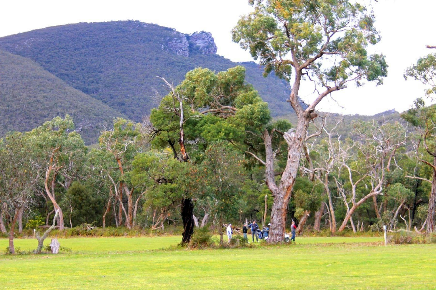 Grampians Golf Club