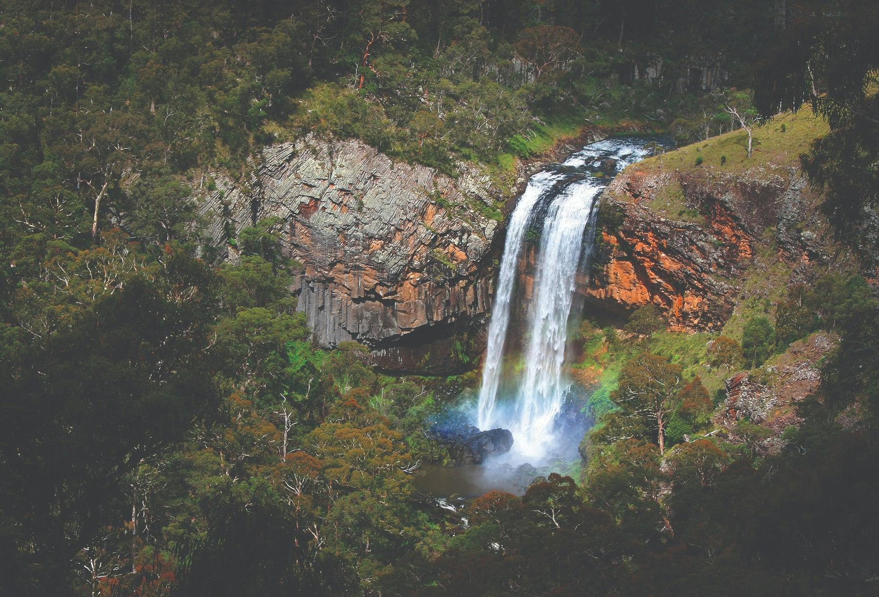 Ebor Falls Guy Fawkes National Park