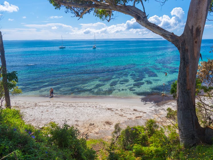 Shark Net Beach