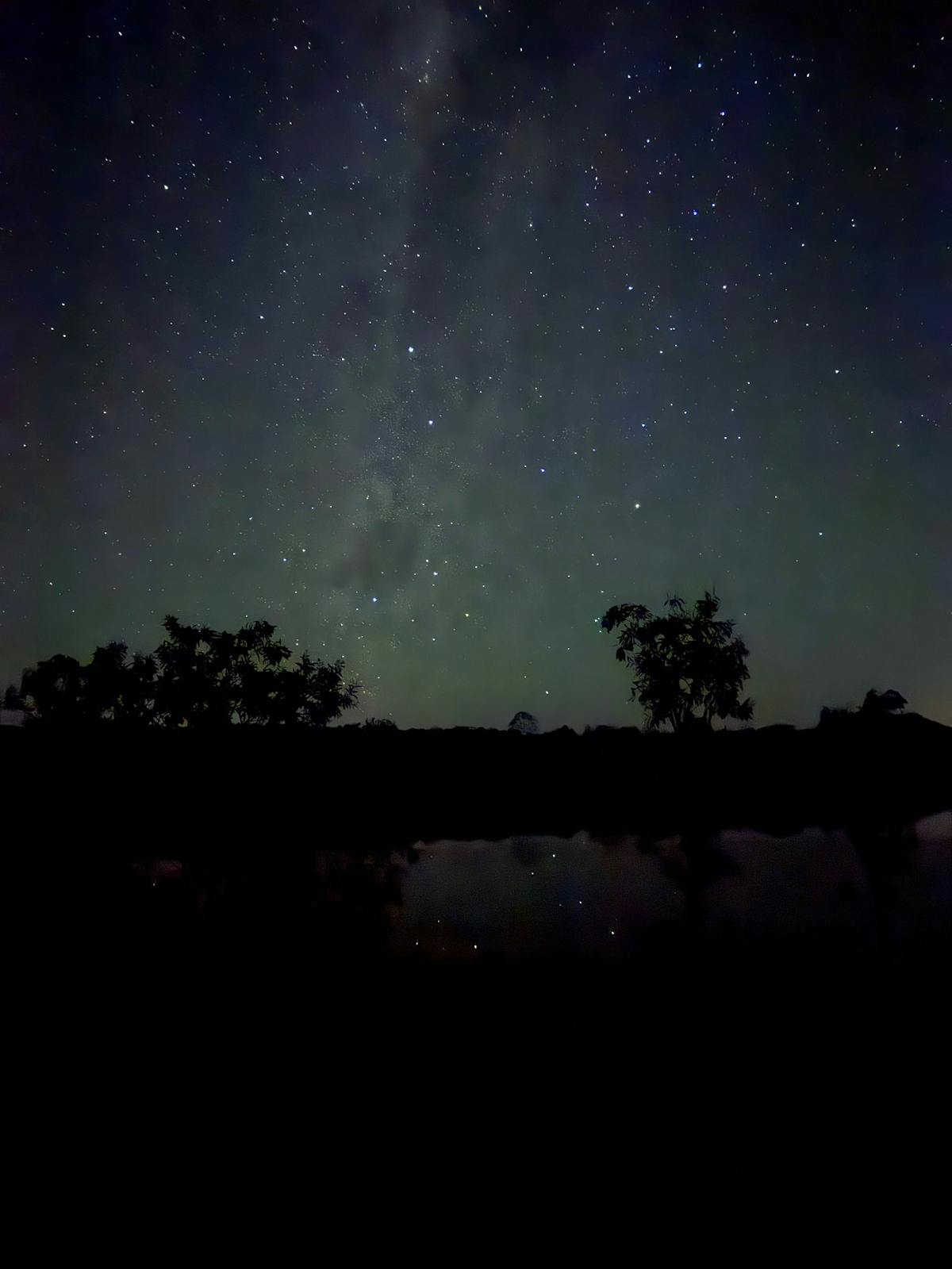 Emu in the sky