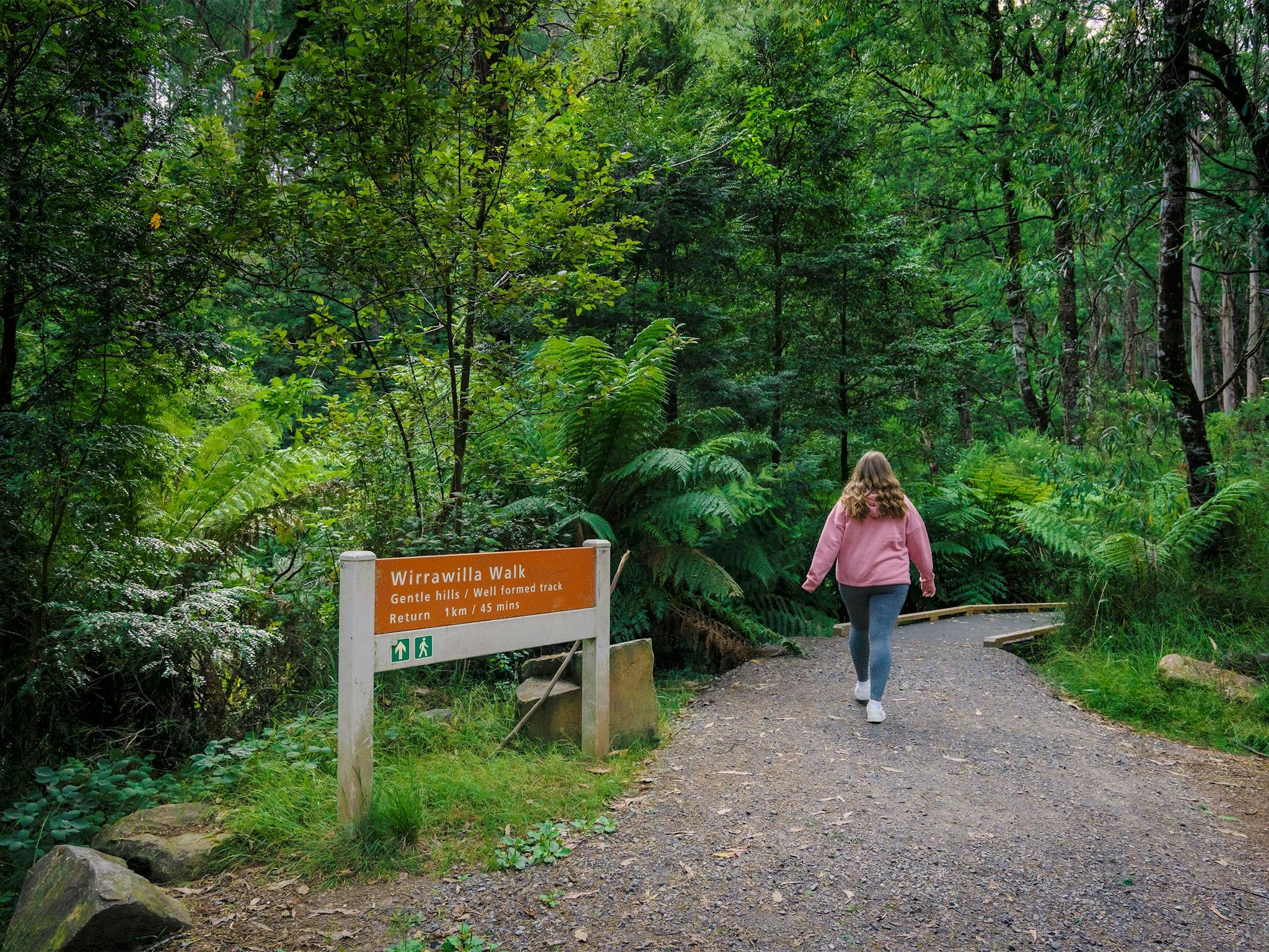 Wirrawilla Rainforest Walk