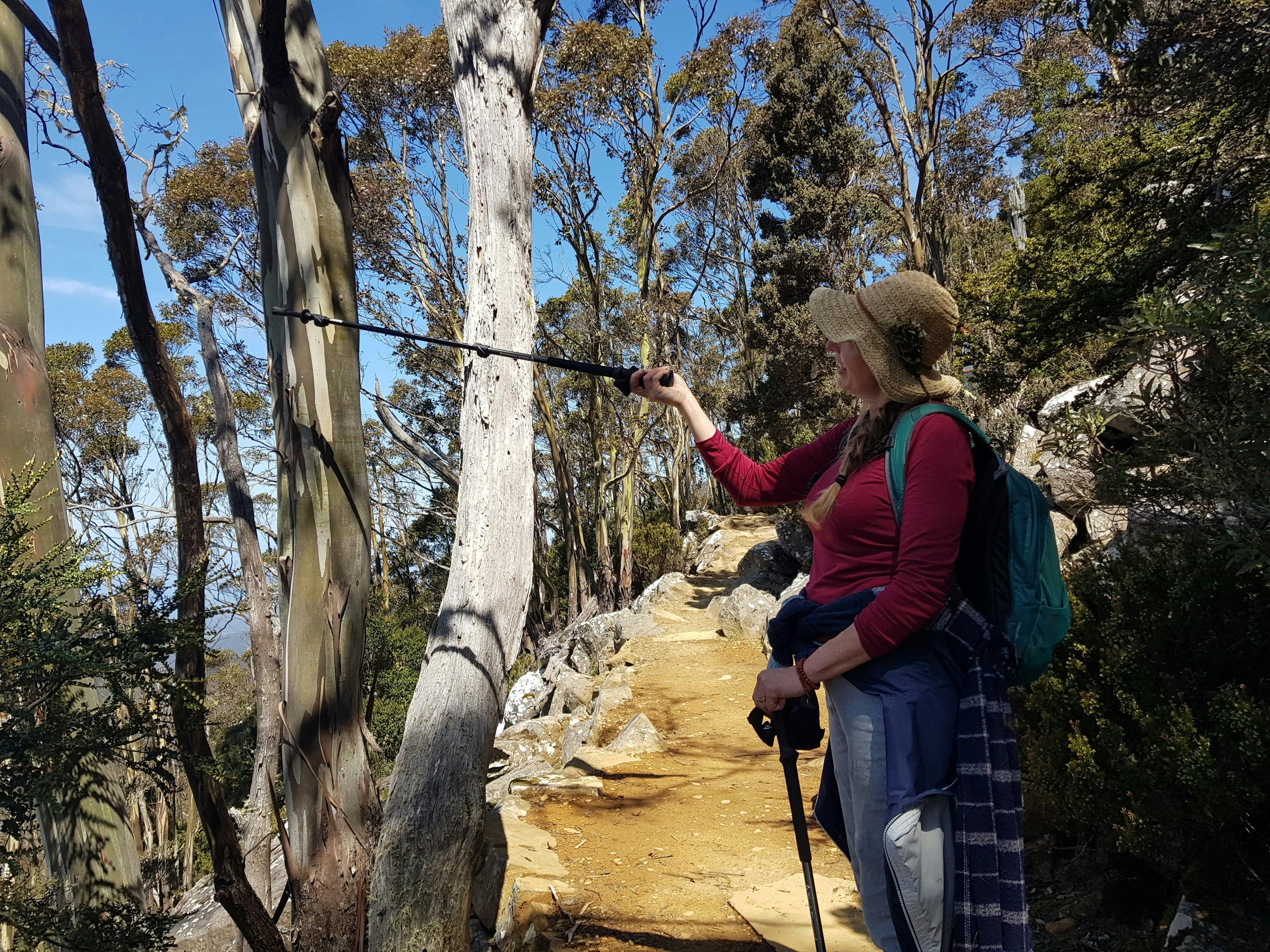 Sailing and Walking Adventure - March 2025