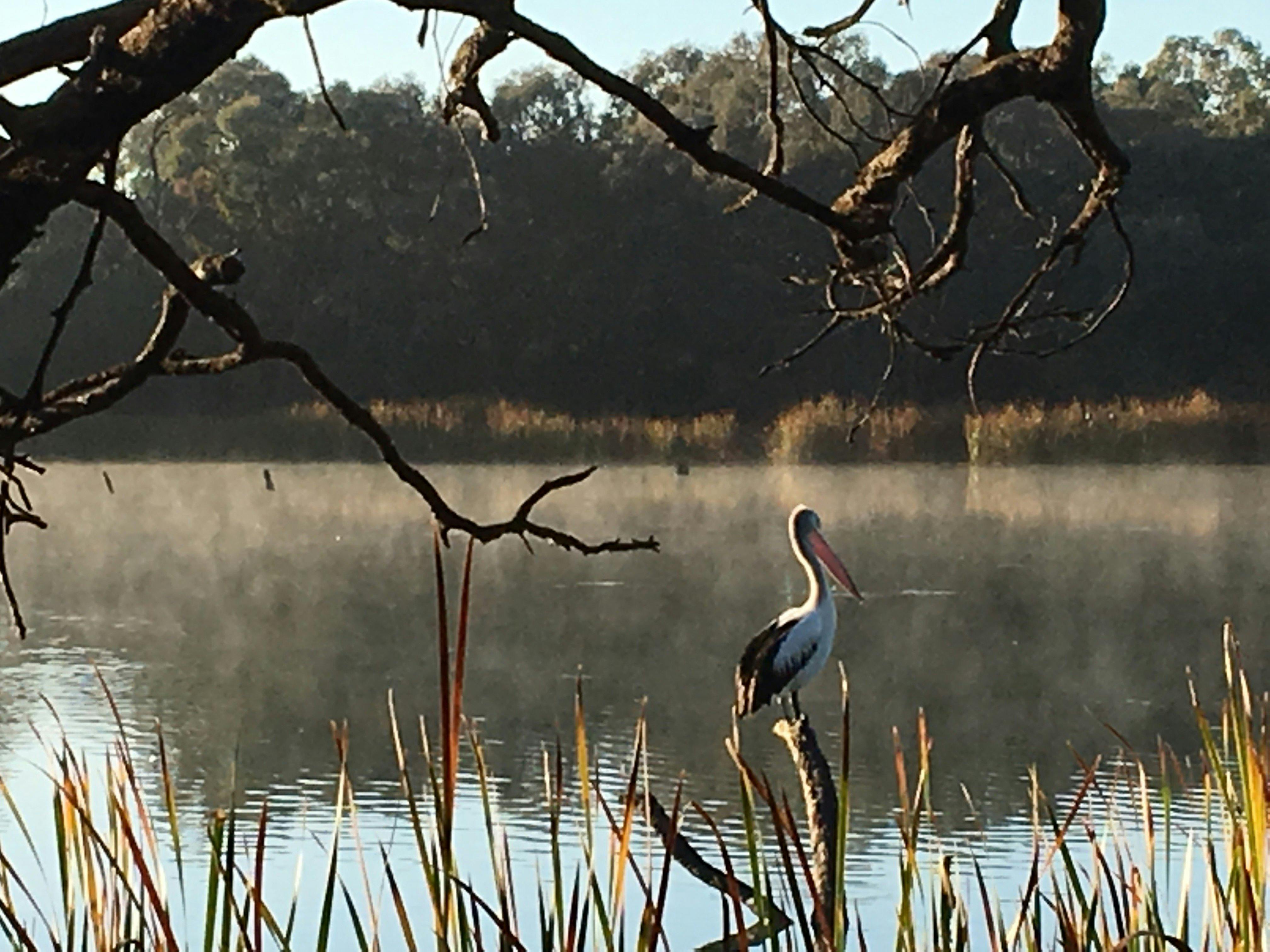 Enjoy the plentiful birdlife
