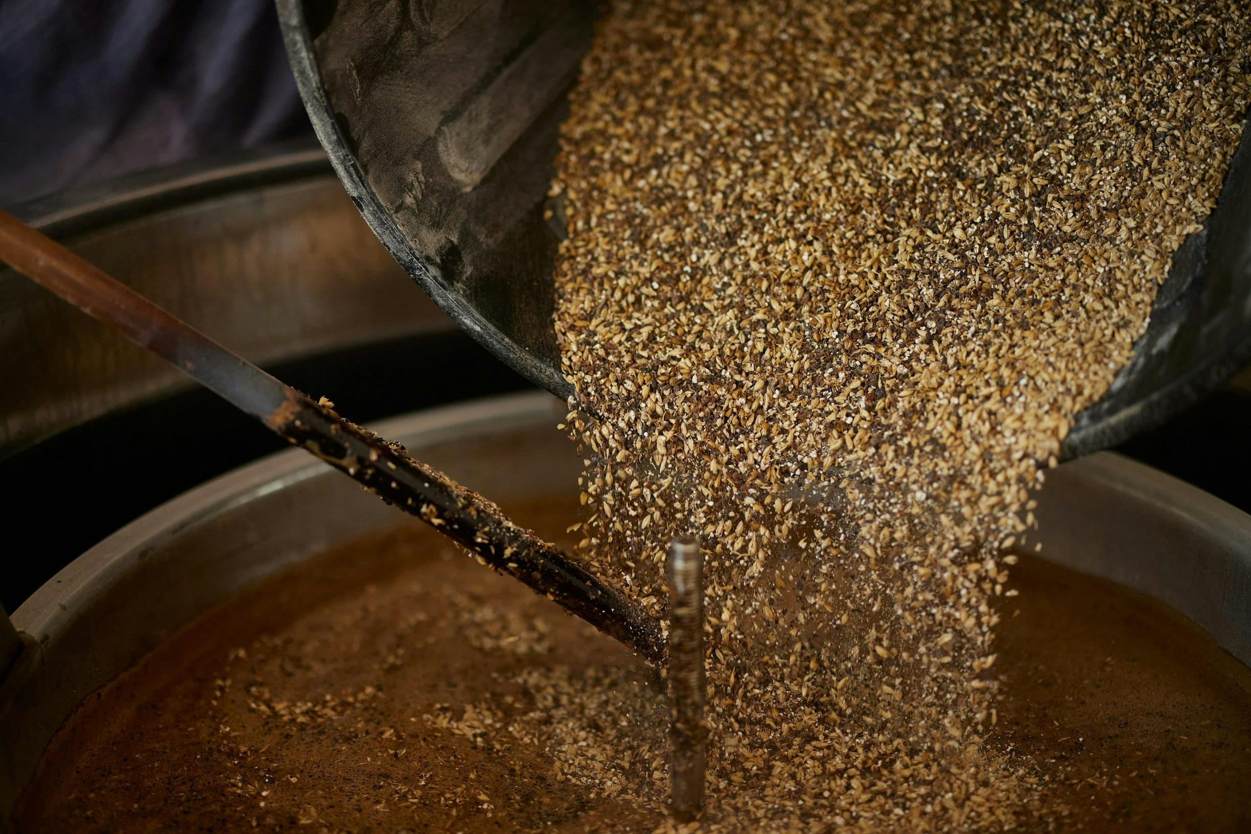 Beer brewing in action