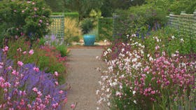 Lambley Nursery and Gardens