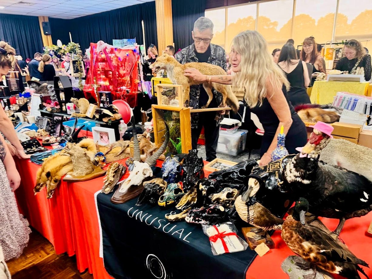 Taxidermy Stall