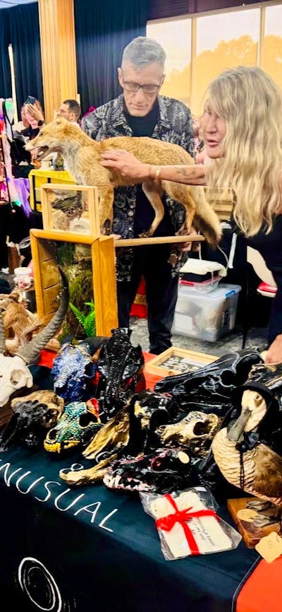 Taxidermy Stall