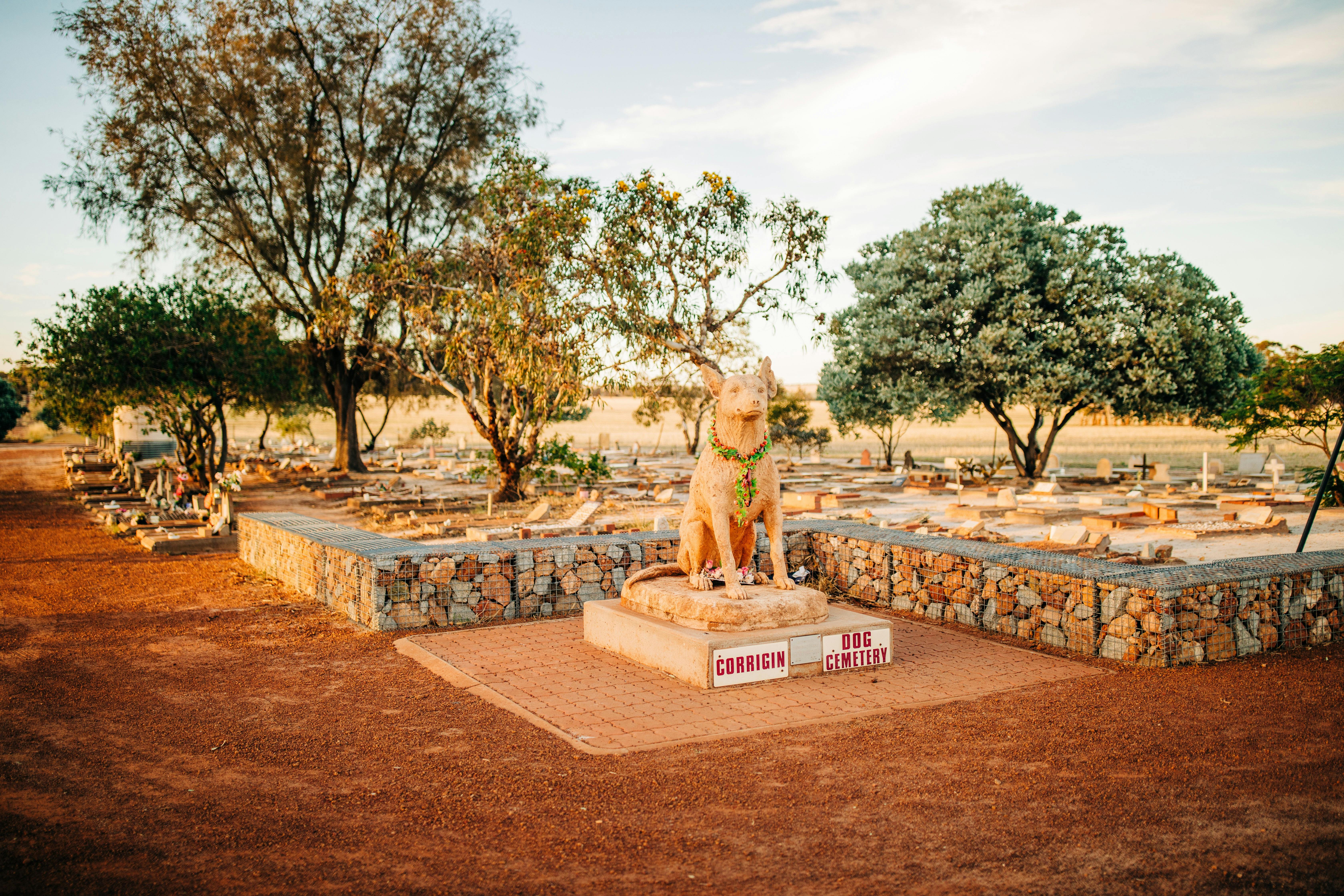 Corrigin Dog Cemetery