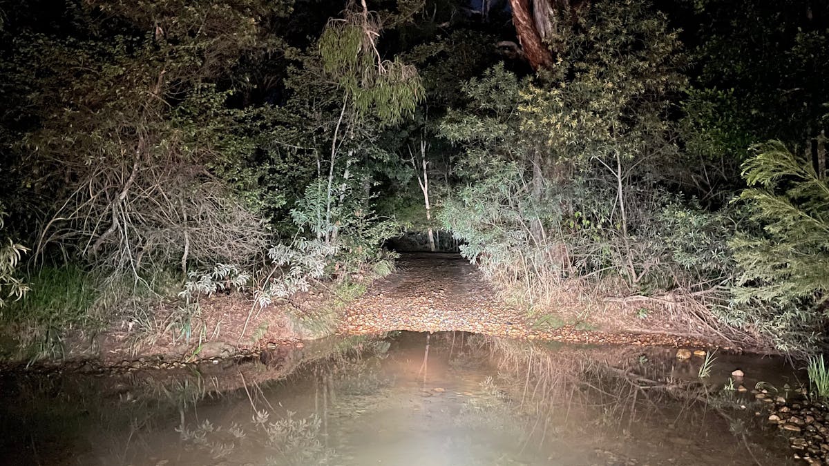 Night time creek