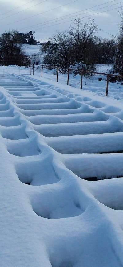 Railway Lines In The Snow