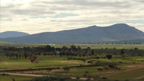Camel Hump Lookout Walk