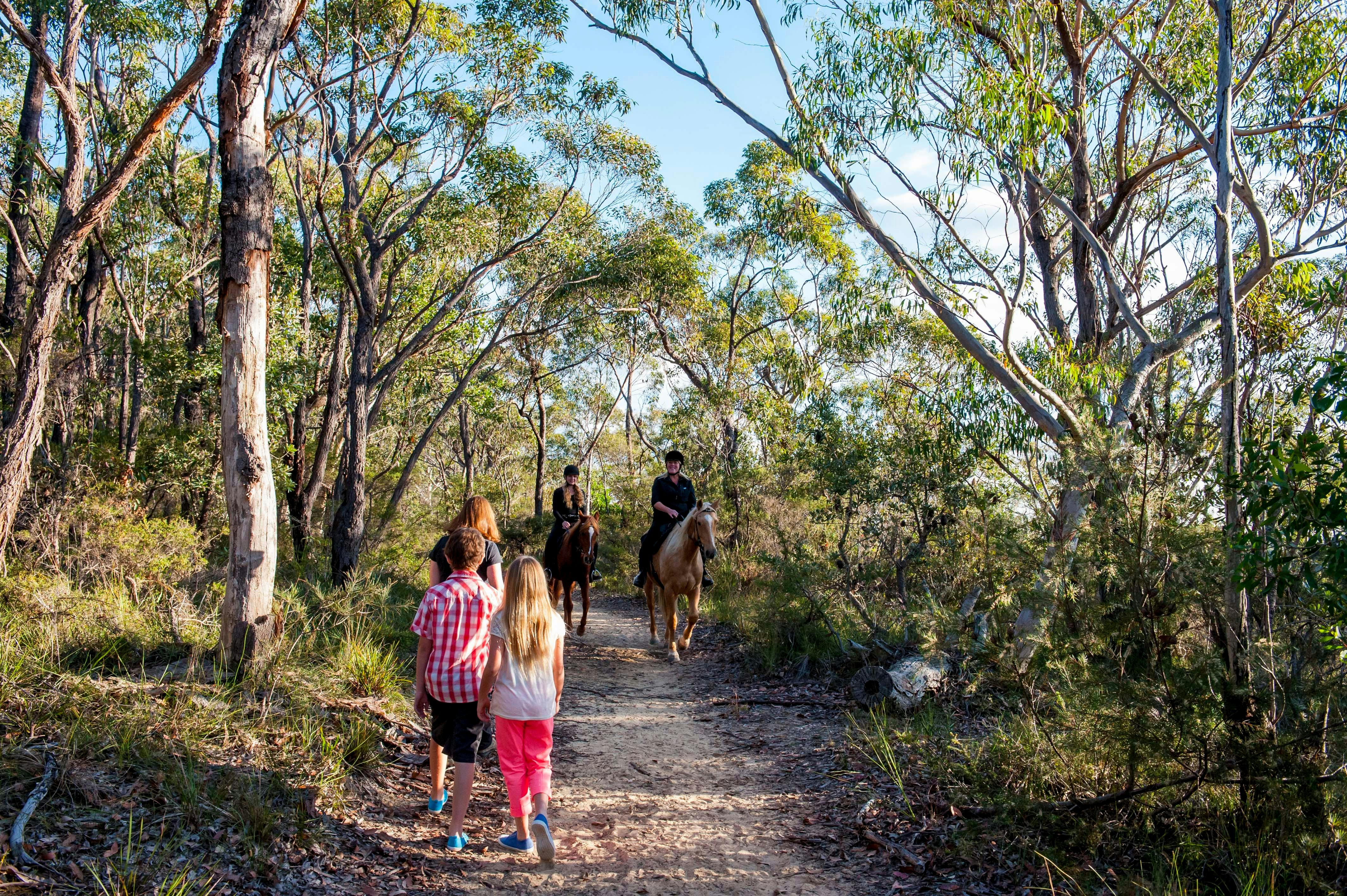 Exploring the Anambo Reserve Walk