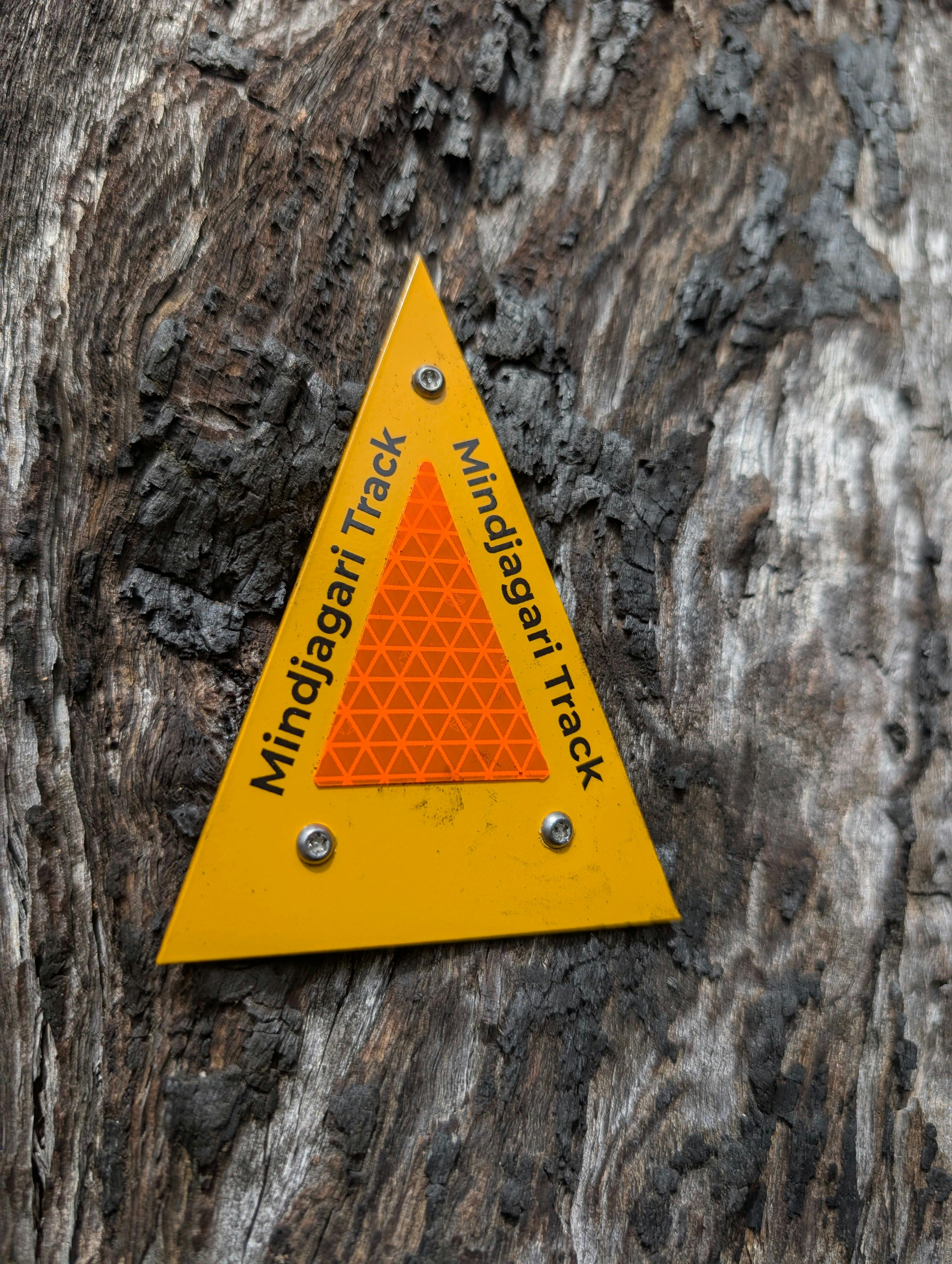 Mindjagari Track marker on tree
