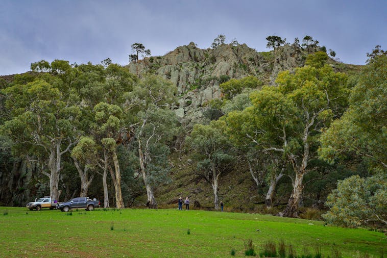 Three Creeks, Arkaroona