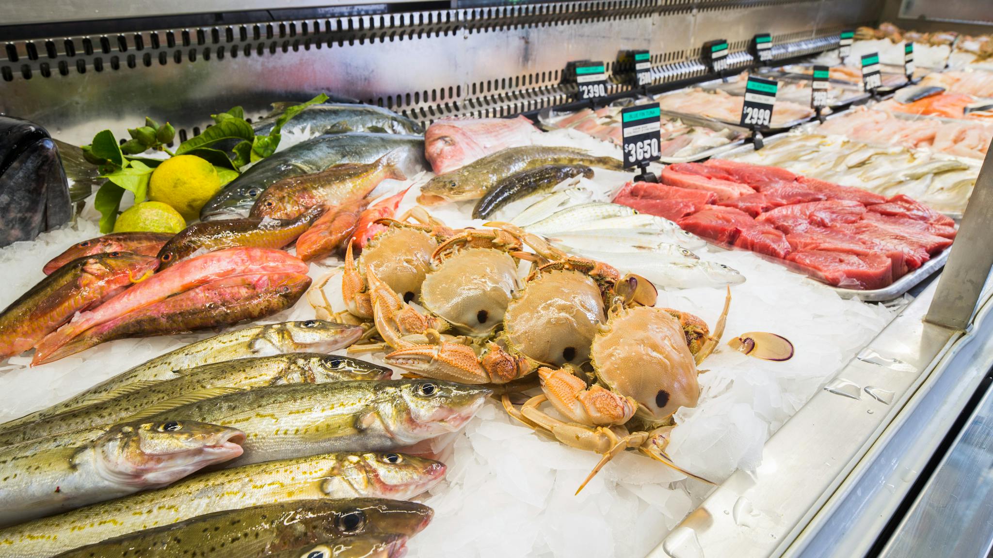 The Fresh Fish Place Factory Outlet & Seafood Eatery - Port Lincoln ...