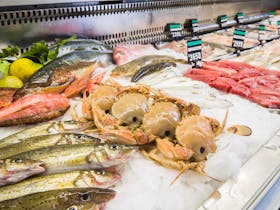Seafood display