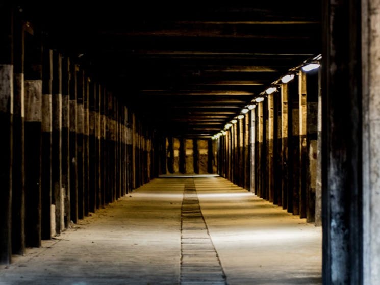 dark-past-tour-cockatoo island