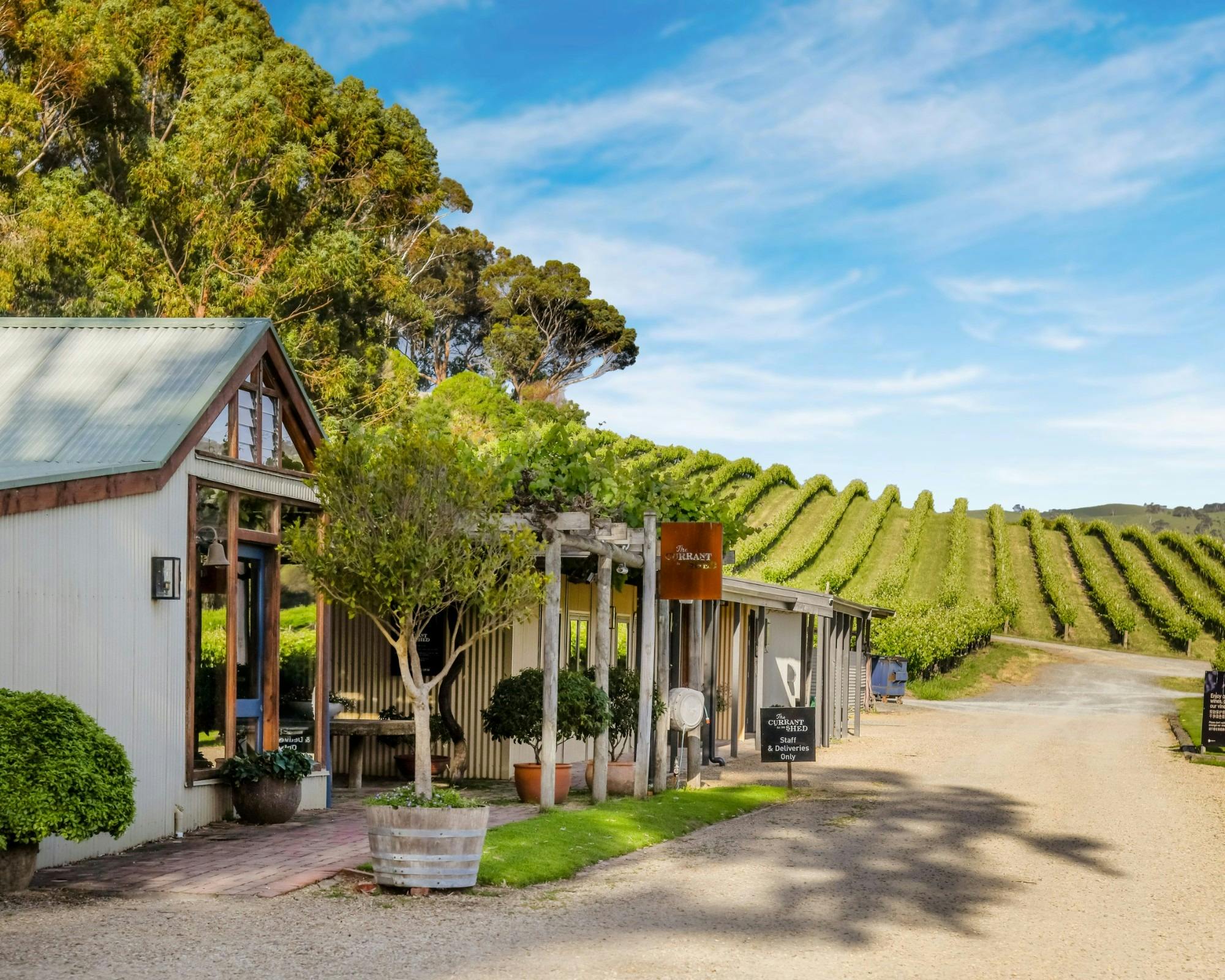 Front entrance of the Currant Shed with vines in the background