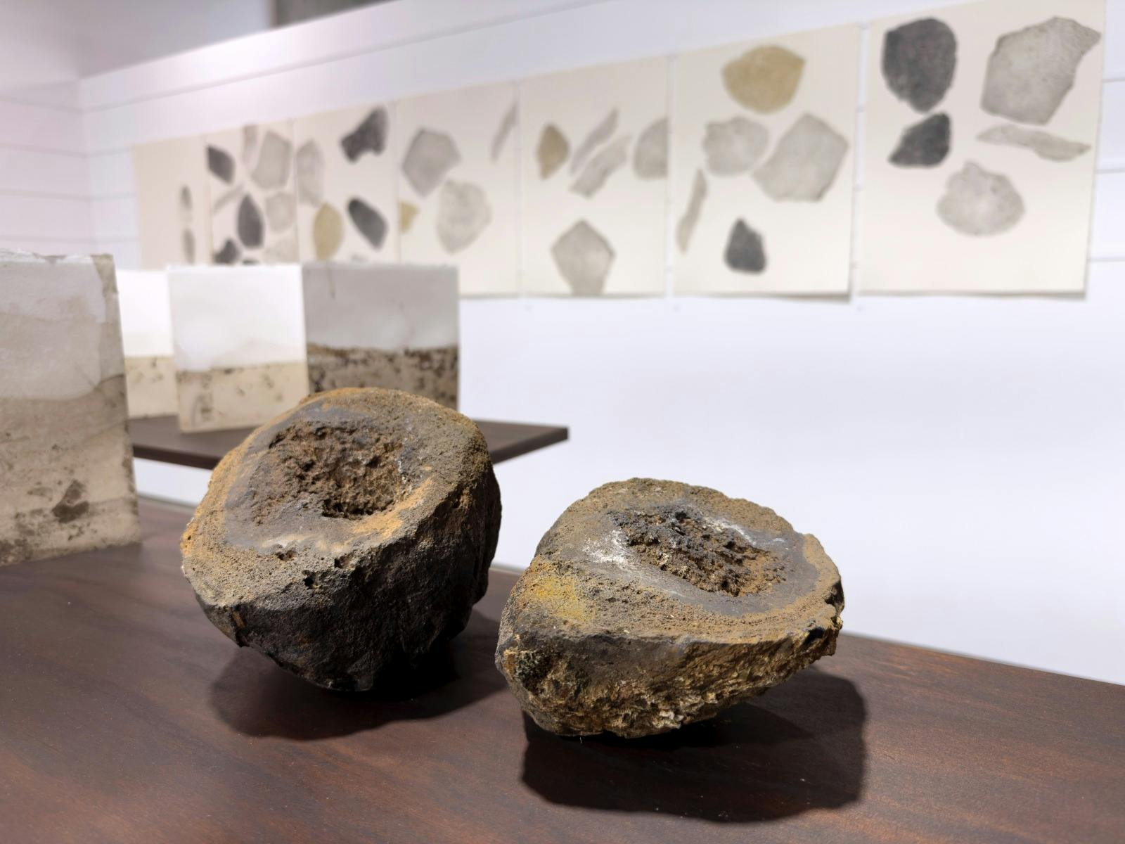 A Volcano in my Backyard - Art Exhibition by Perdita Phillips