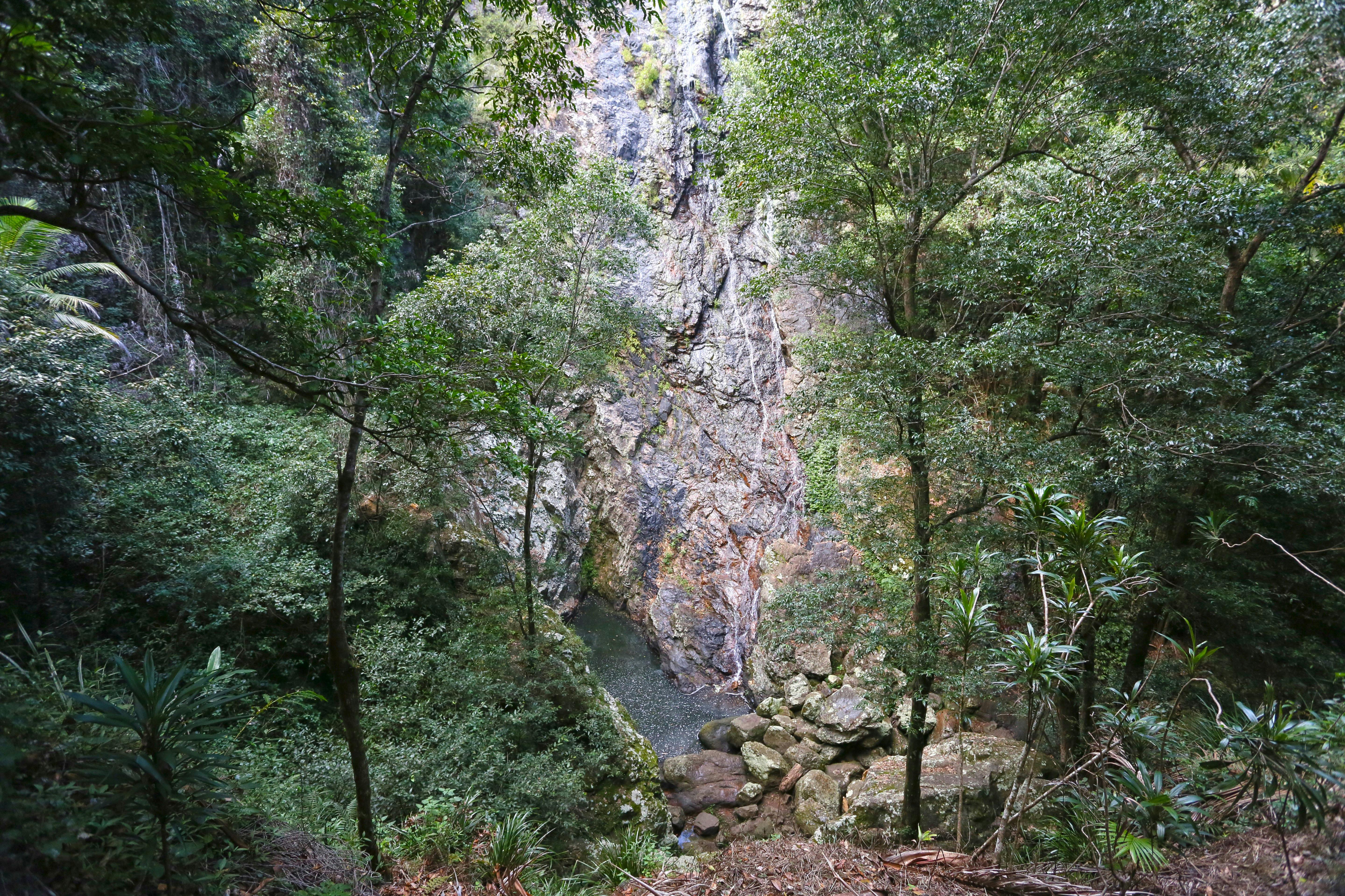 Water trickles down a vast rock face into a rockpool below, surrounded by forest.