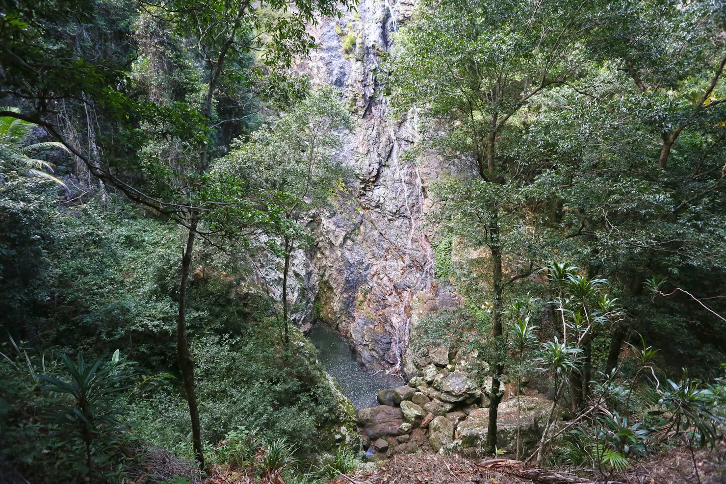 Water trickles down a vast rock face into a rockpool below, surrounded by forest.