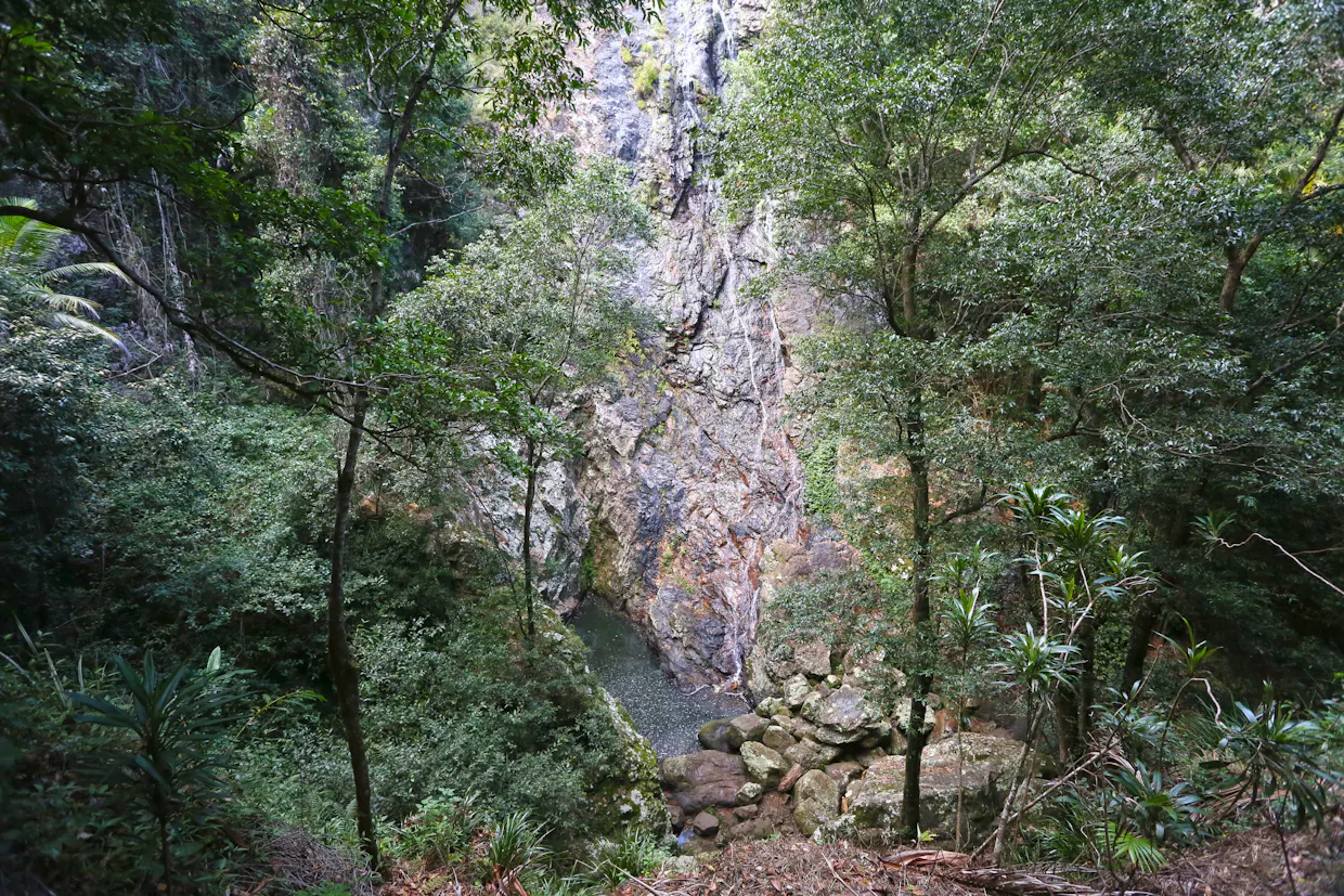 Kondalilla Falls Circuit, Kondalilla National Park