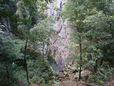 Water trickles down a vast rock face into a rockpool below, surrounded by forest.