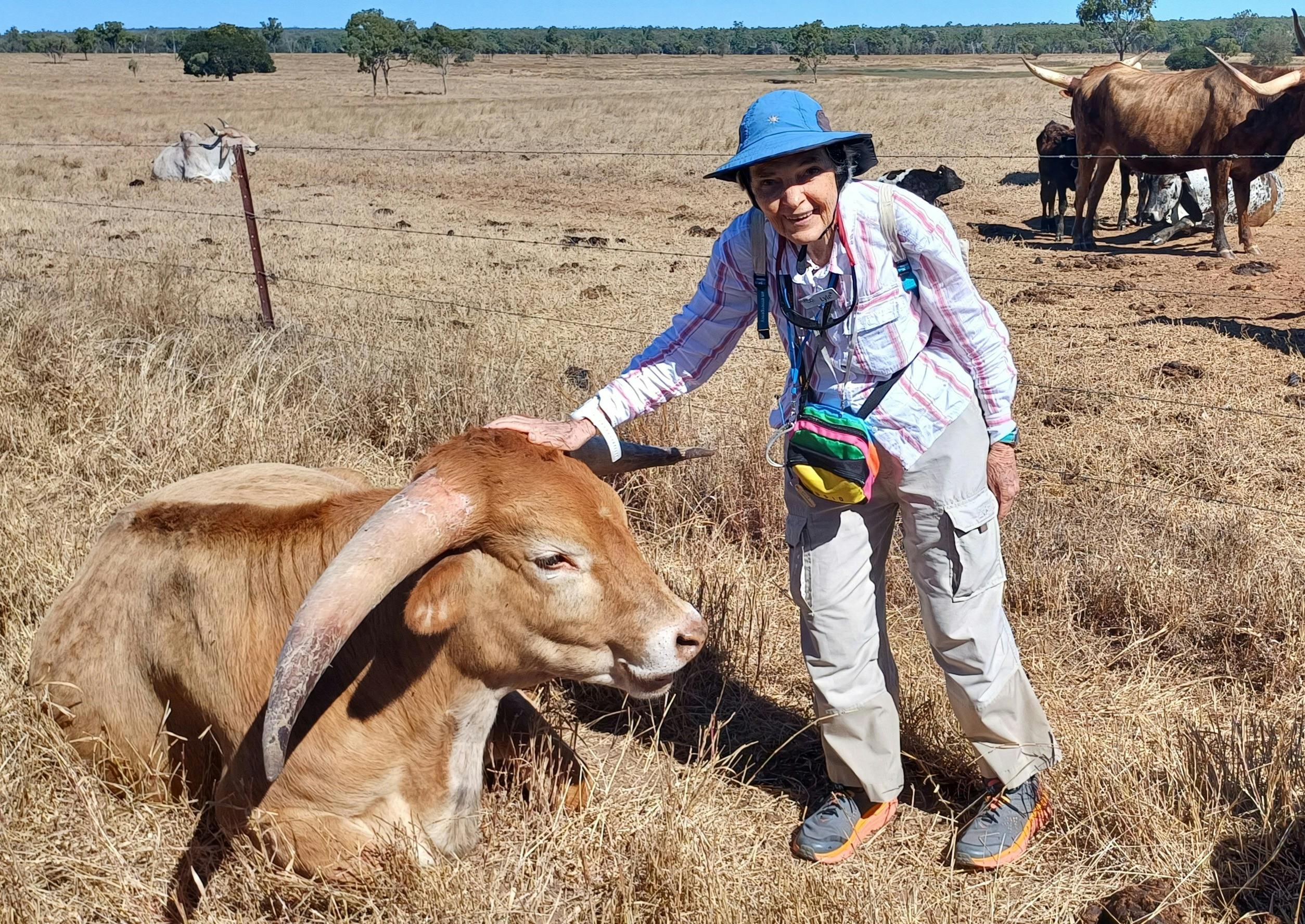 Funstar Lyle giving Wilbur a pat, Texas Longhorns, Charters Towers