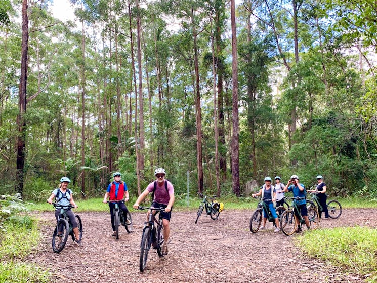 Guided E Bike tour group on a forest trail in Mount Jerusalem National Park on the way to Hells Hole