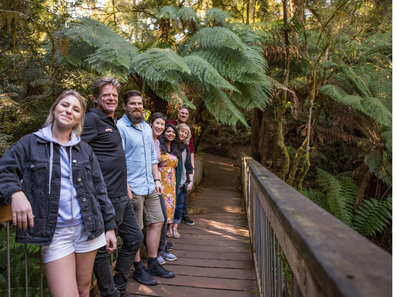 Groupmaits-rest-rainforest-walk-group
