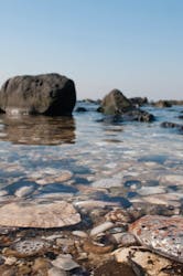 Point Cooke Marine Sanctuary