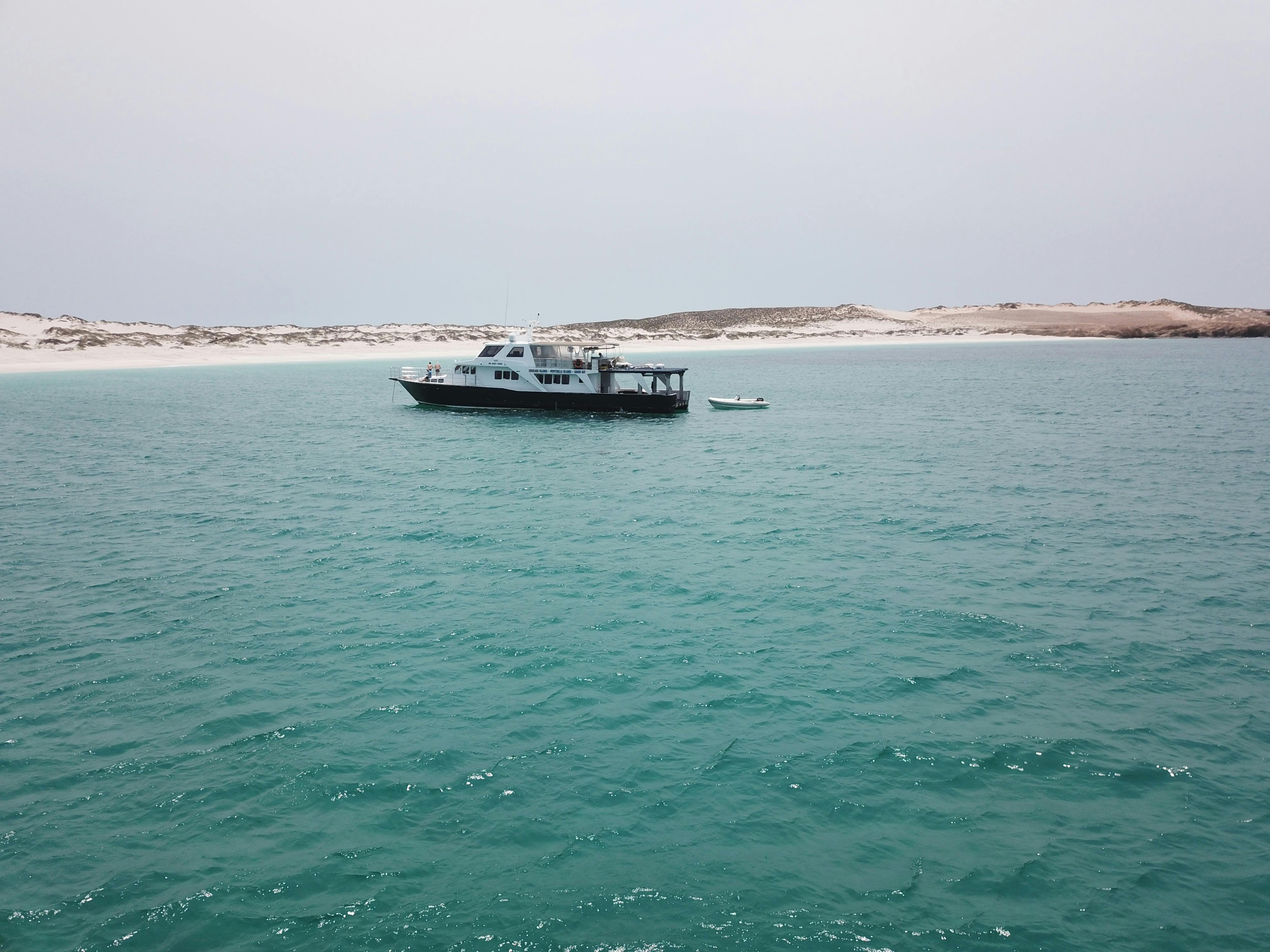 Blue Juice Charters