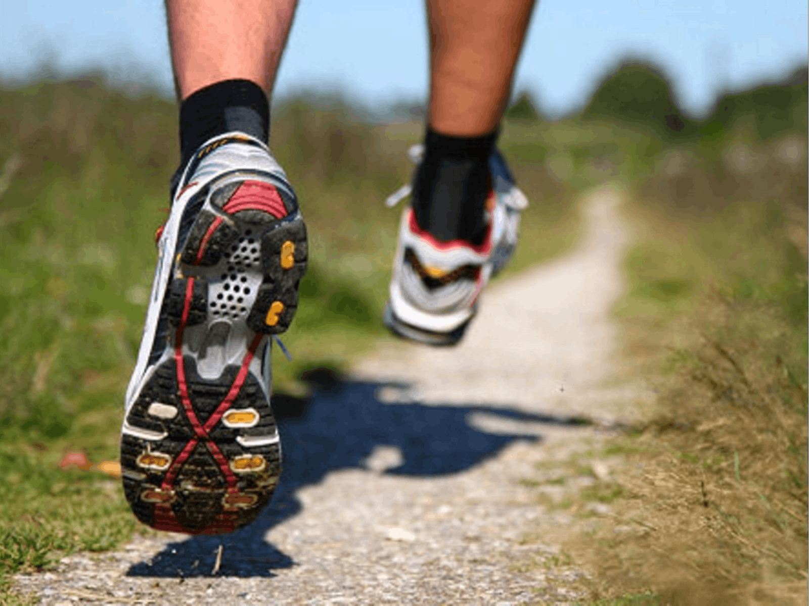 Image for Run Dungog