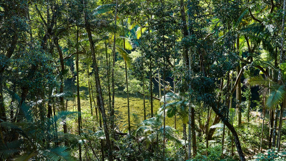 Mossman River