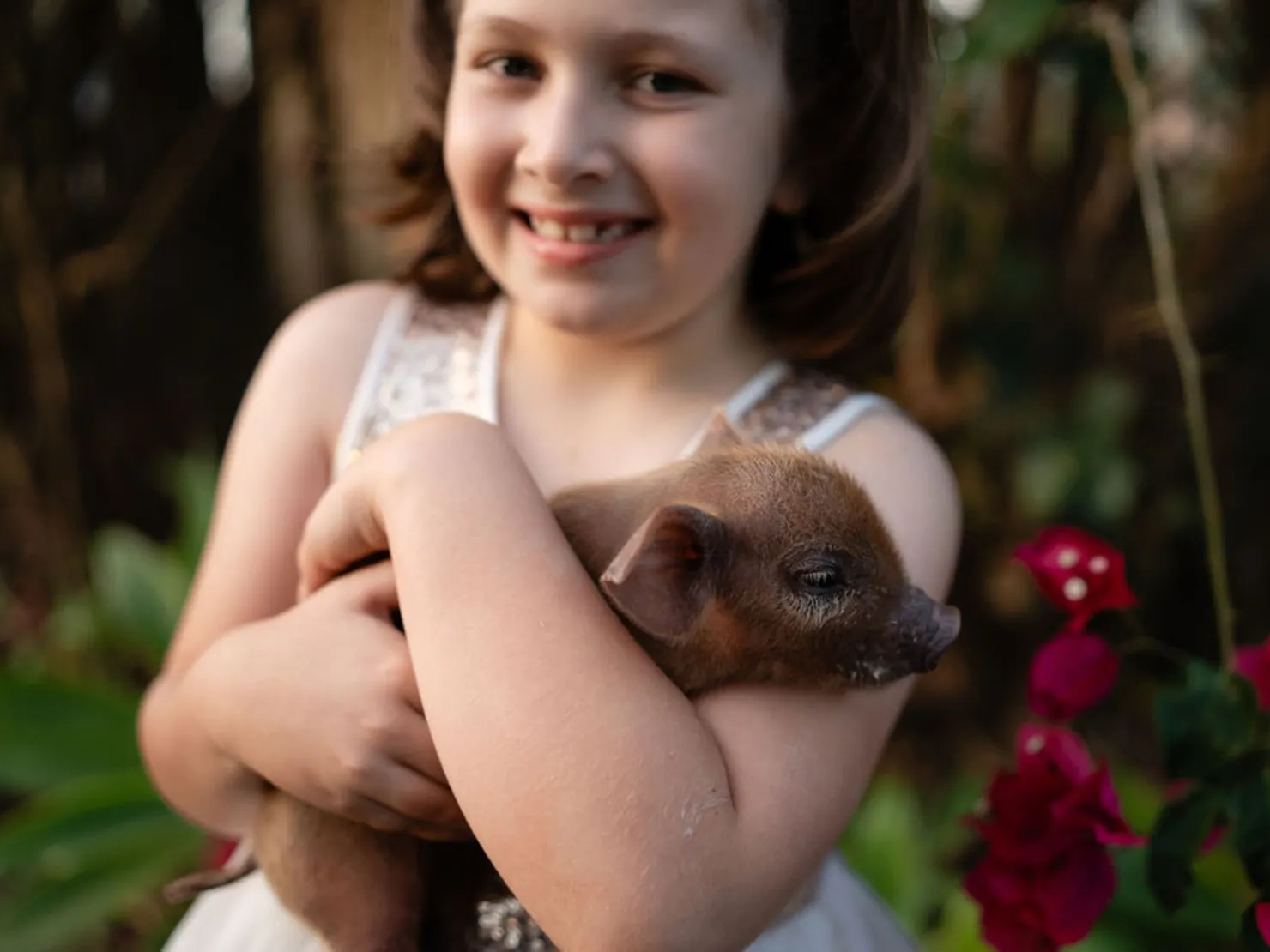 Little girl cuddling baby pig