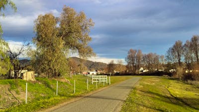 Walk along the creek between Adelong Falls Gold Mill Ruins and the town