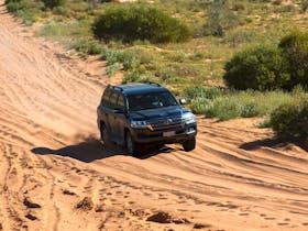 4WD attempting to climb the Big Red sand dune